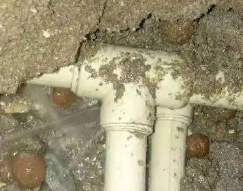 郸城测漏水多少钱