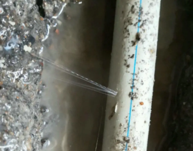 郸城测漏水哪家好