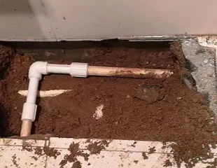 郸城测漏水哪家好