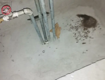 郸城卫生间测漏水价格明细