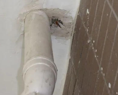 郸城漏水检测哪家好